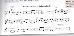 ERIN-SHORE.-THE-CORRS_page-0001